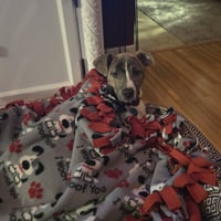Kaiyah - Photo 3
