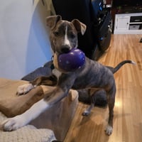 Kaiyah - Photo 5