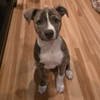 Kaiyah - Photo 7