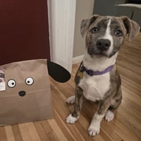 Kaiyah - Photo 8