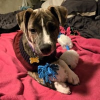 Kaiyah - Photo 9