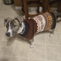 Kaiyah - Photo 10