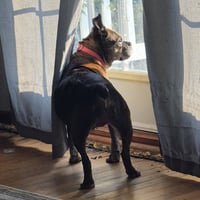 Eulalia - Photo 3