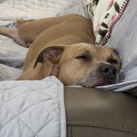 Hazel Lee - Photo 4