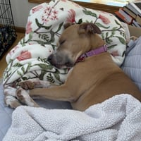 Hazel Lee - Photo 6