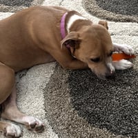 Hazel Lee - Photo 10