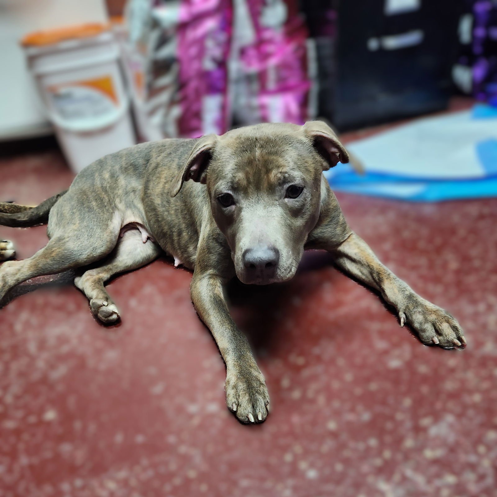 Mahina - Photo 5
