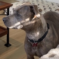 Mahina - Photo 7