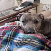 Mahina - Photo 3