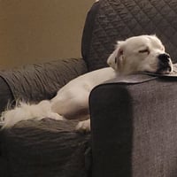 Falcor - Photo 7