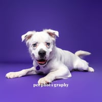 Falcor - Photo 25