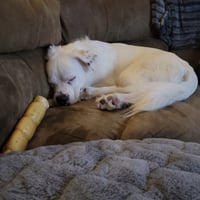 Falcor - Photo 18
