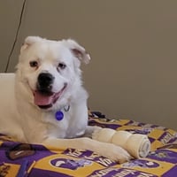 Falcor - Photo 12