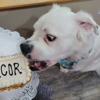 Falcor - Photo 2
