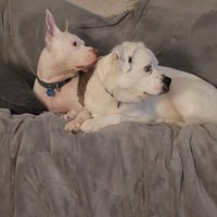 Falcor - Photo 15