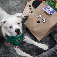 Falcor - Photo 21