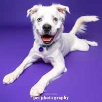 Falcor - Photo 23