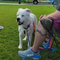 Falcor - Photo 5