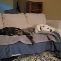 Falcor - Photo 8