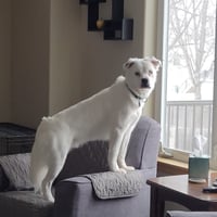 Falcor - Photo 13
