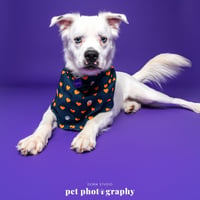 Falcor - Photo 24