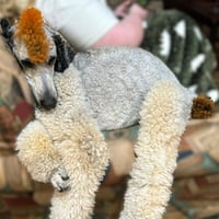 Oboe - Photo 5