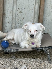 Bright Frankie - Photo 2