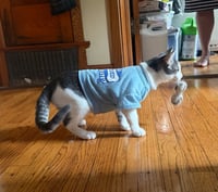 Maverick Kitten - Photo 2