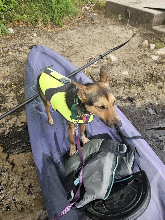 Magical Sapphire Image