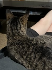 Ruthie (I Litter) - Photo 3