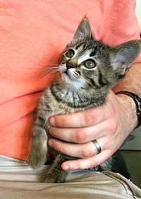 Ruthie (I Litter) - Photo 5