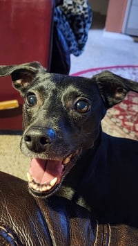 LUNA IN TEXAS - Photo 6