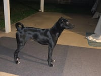 LUNA IN TEXAS - Photo 3