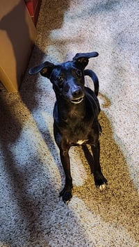 LUNA IN TEXAS - Photo 5