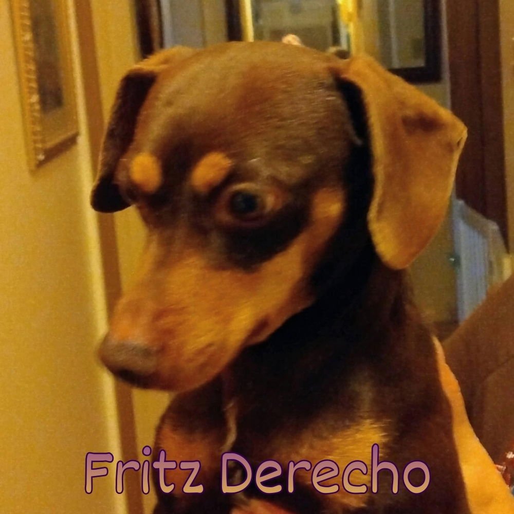 Fritz Derecho - Photo 3