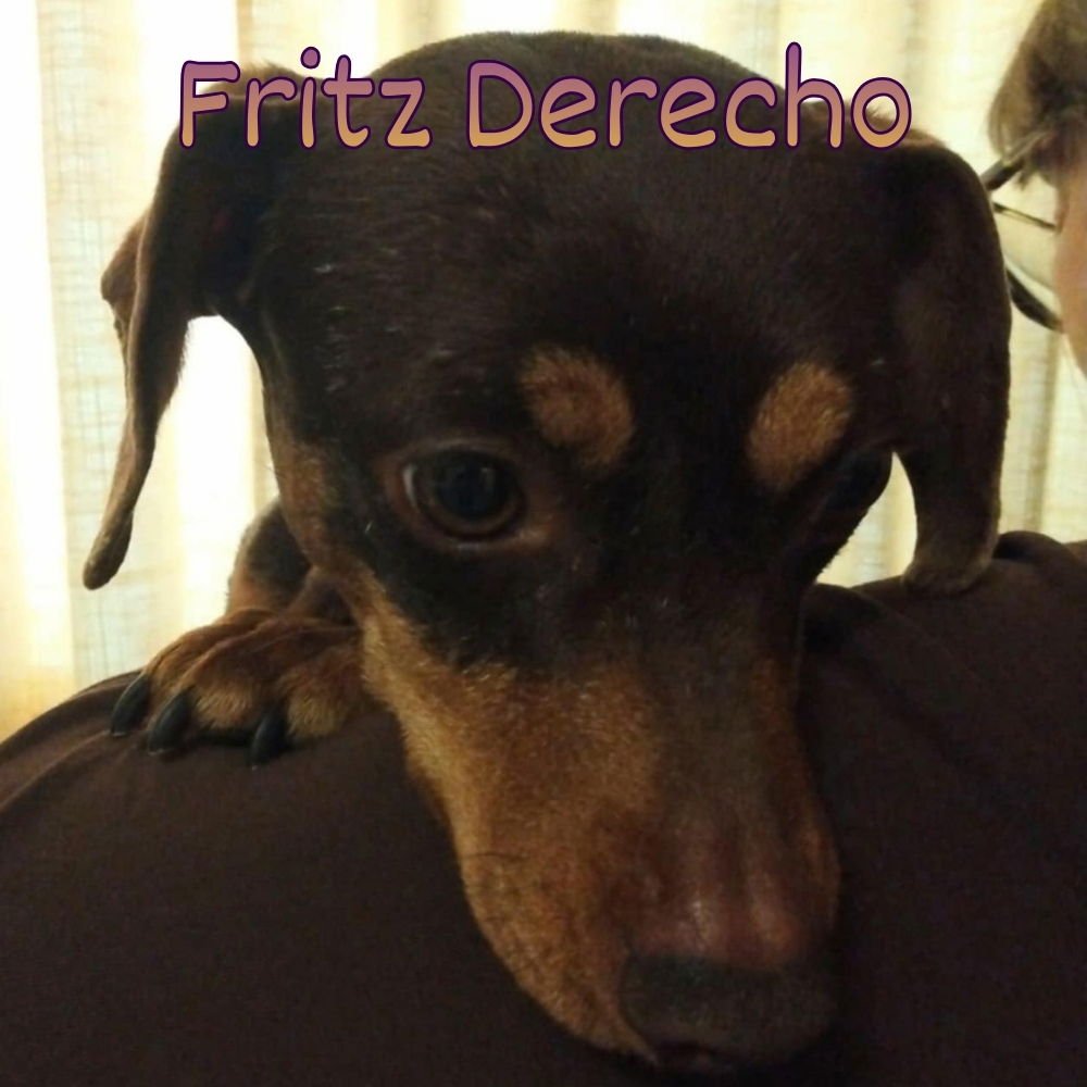 Fritz Derecho - Photo 4