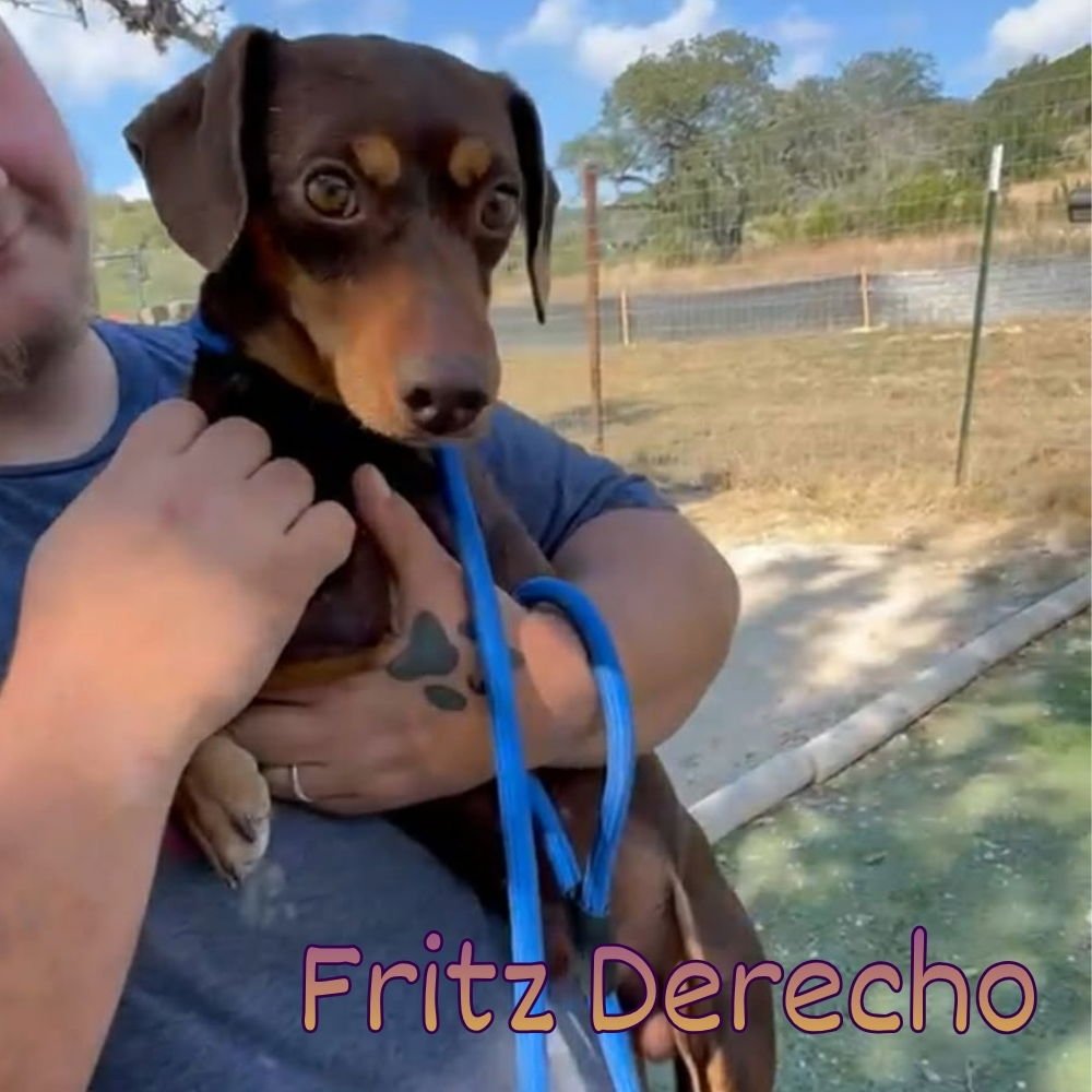 Fritz Derecho - Photo 5