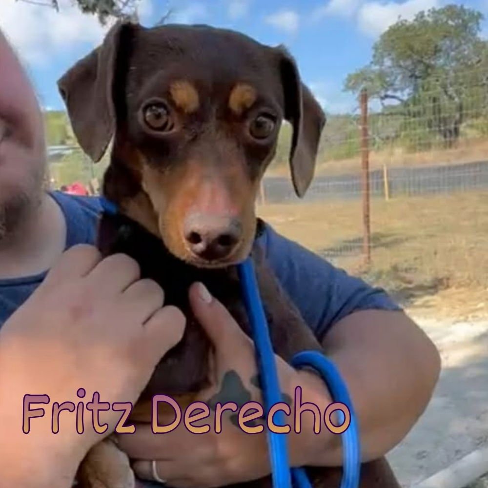 Fritz Derecho - Photo 7