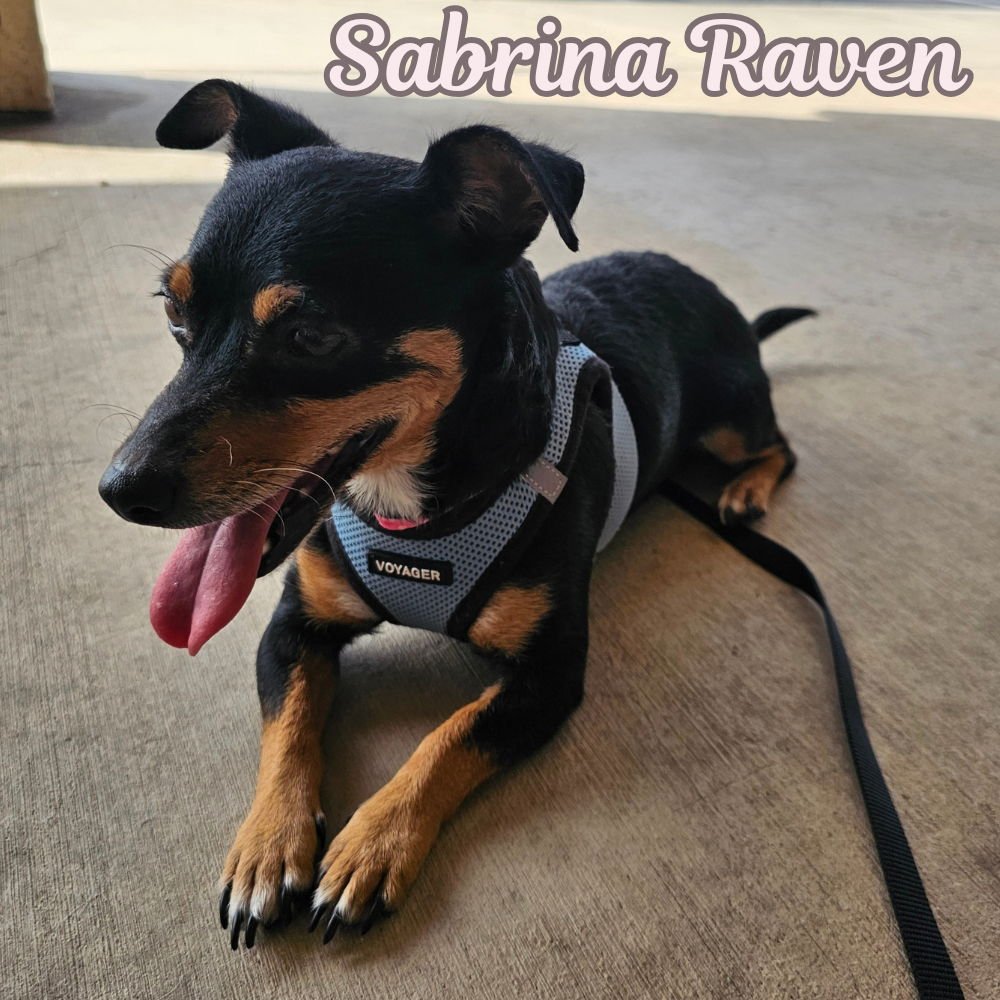 Sabrina Raven - Photo 3