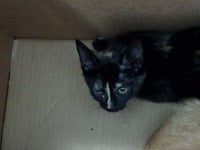 DOLORES - Photo 1