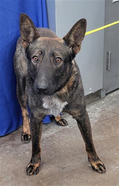 KILO Image