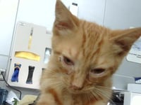 BUMI - Photo 1