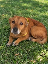MIA - Photo 1