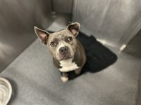 JUANITA - Photo 1