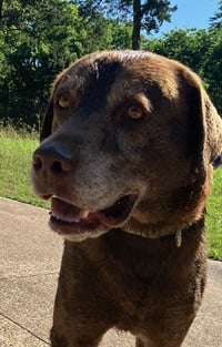 MAX - Photo 1