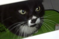 MIA - Photo 1