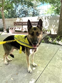 MISSY - Photo 1