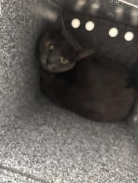 NALA - Photo 1