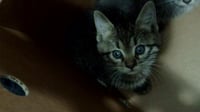LUNA - Photo 1