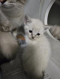 PARKER - Photo 1
